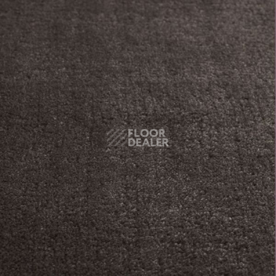 Ковролин Jacaranda Carpets Simla Steel Grey фото 1 | FLOORDEALER